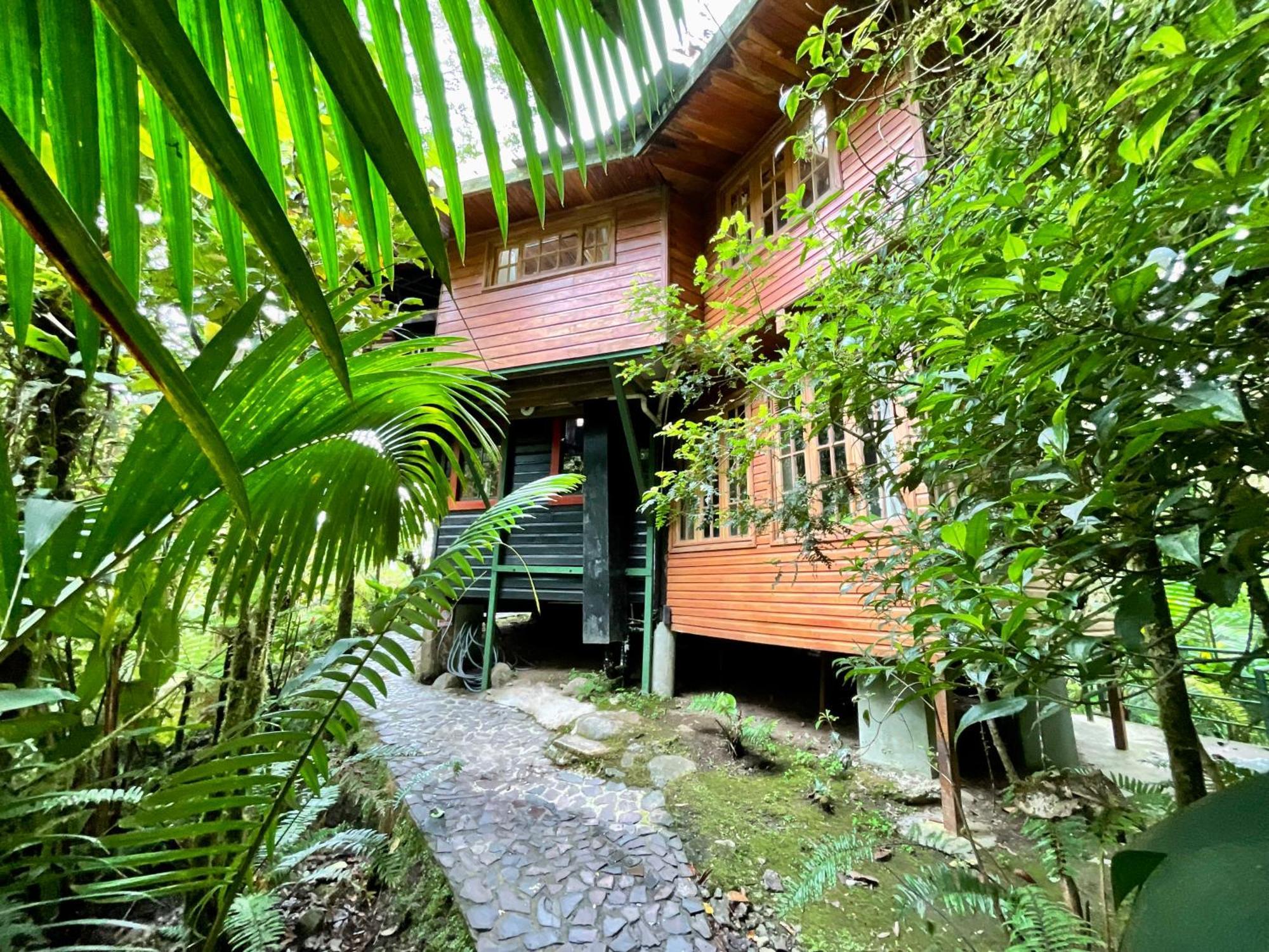 Los Quetzales Ecolodge & Spa Cerro Punta Exterior foto