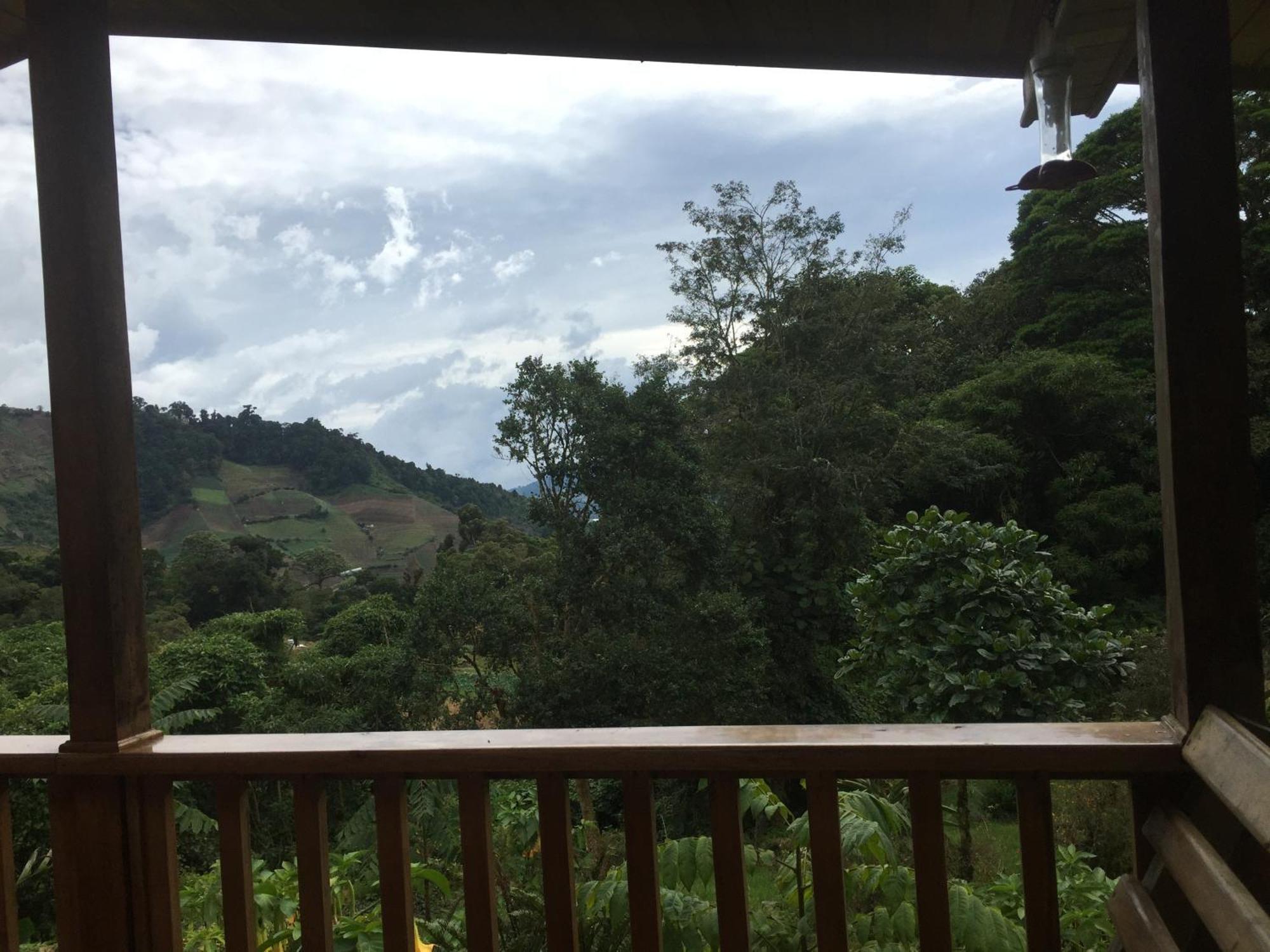 Los Quetzales Ecolodge & Spa Cerro Punta Exterior foto