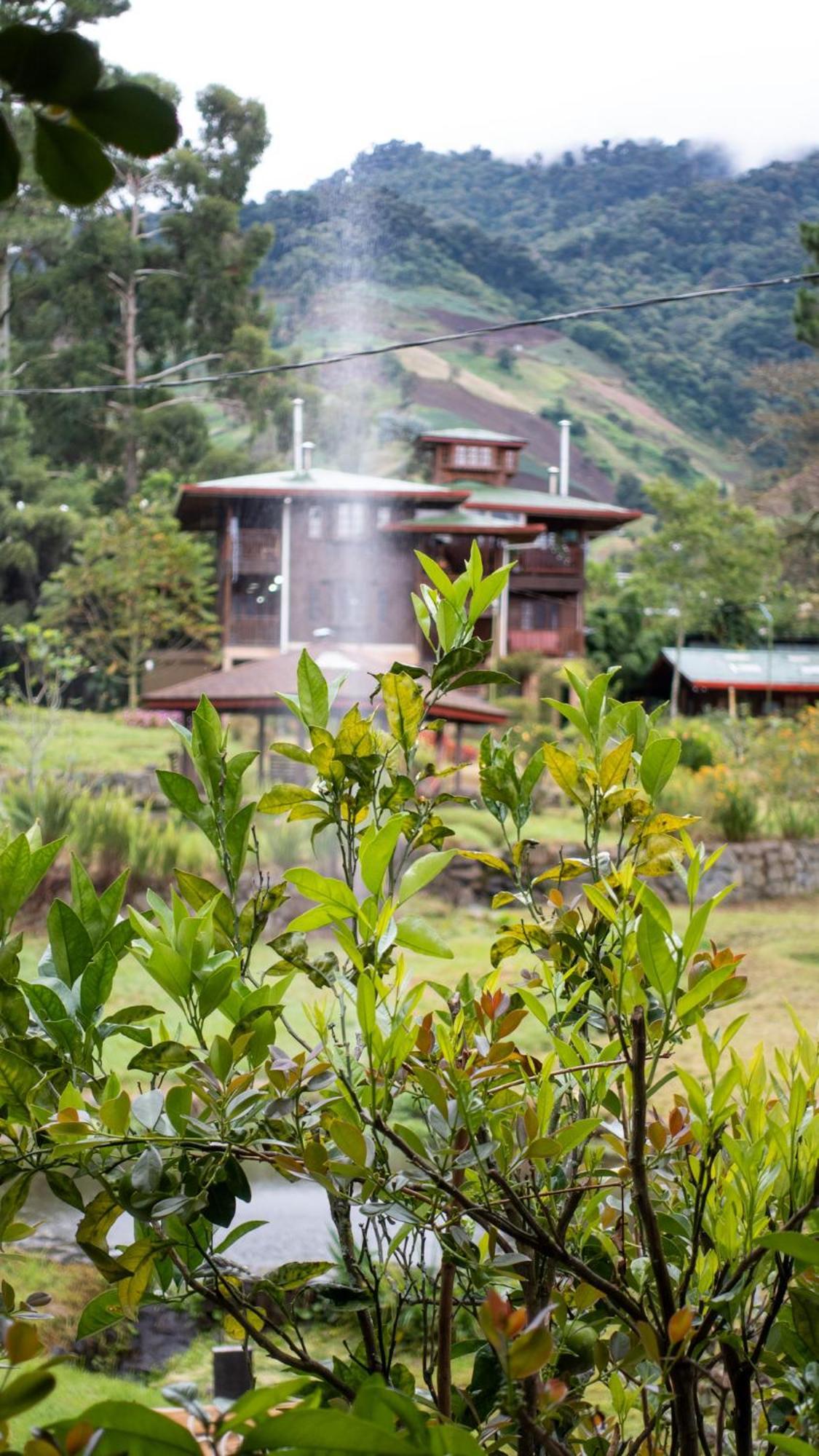 Los Quetzales Ecolodge & Spa Cerro Punta Exterior foto