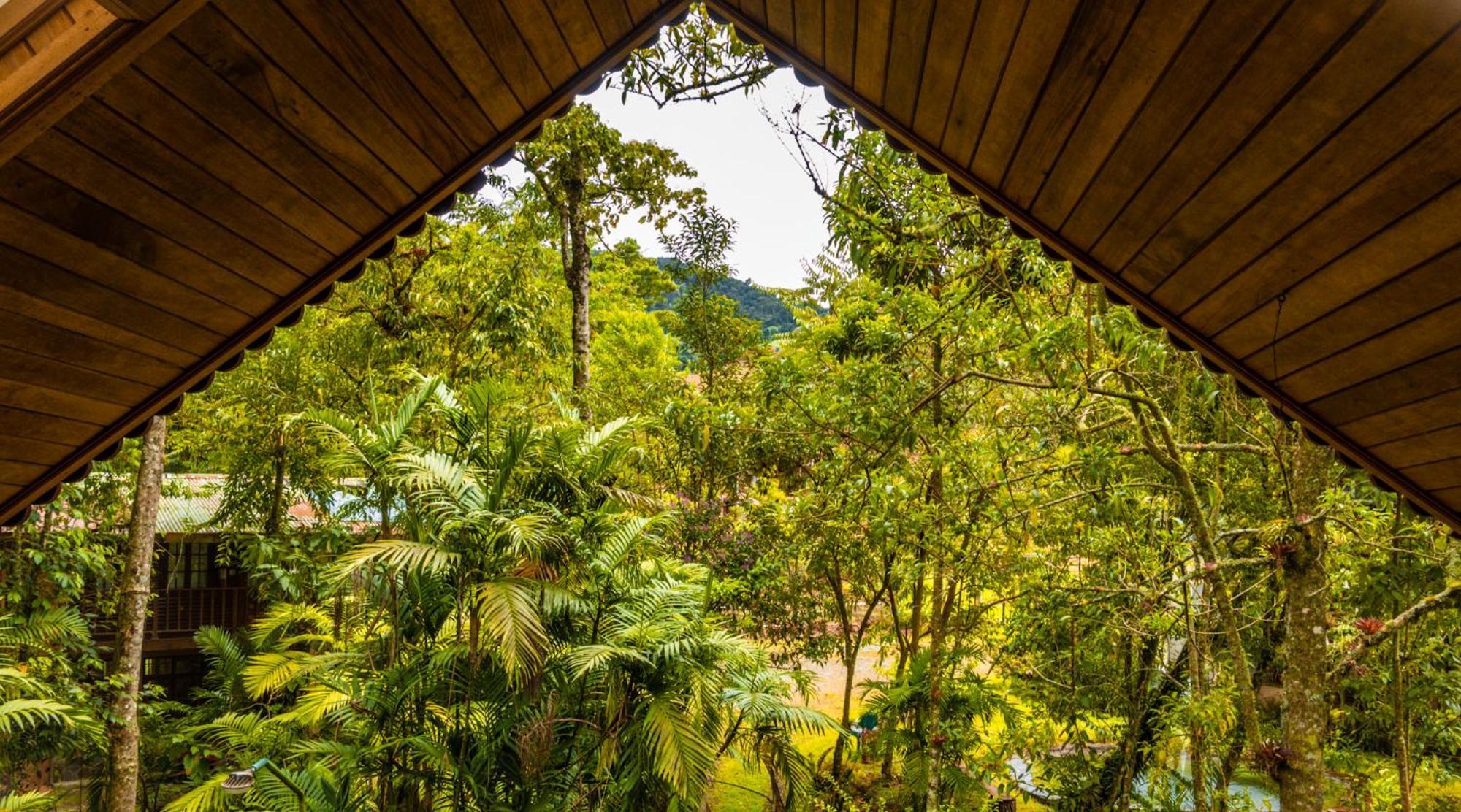 Los Quetzales Ecolodge & Spa Cerro Punta Exterior foto